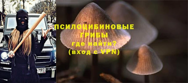 ешки Армянск