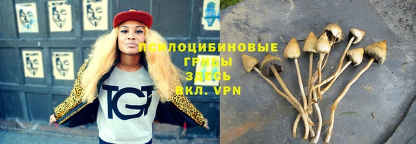 ешки Армянск