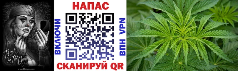 купить наркотики сайты  Шацк  Бошки Шишки VHQ 